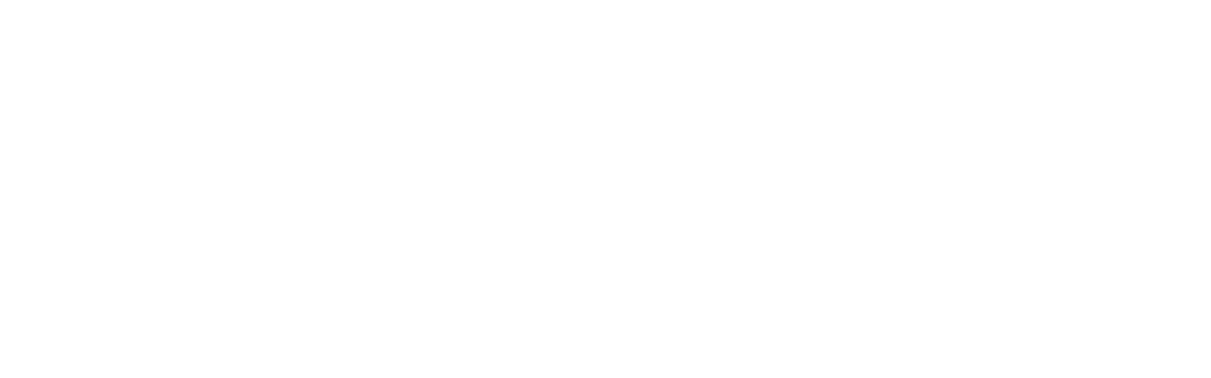 BlotX